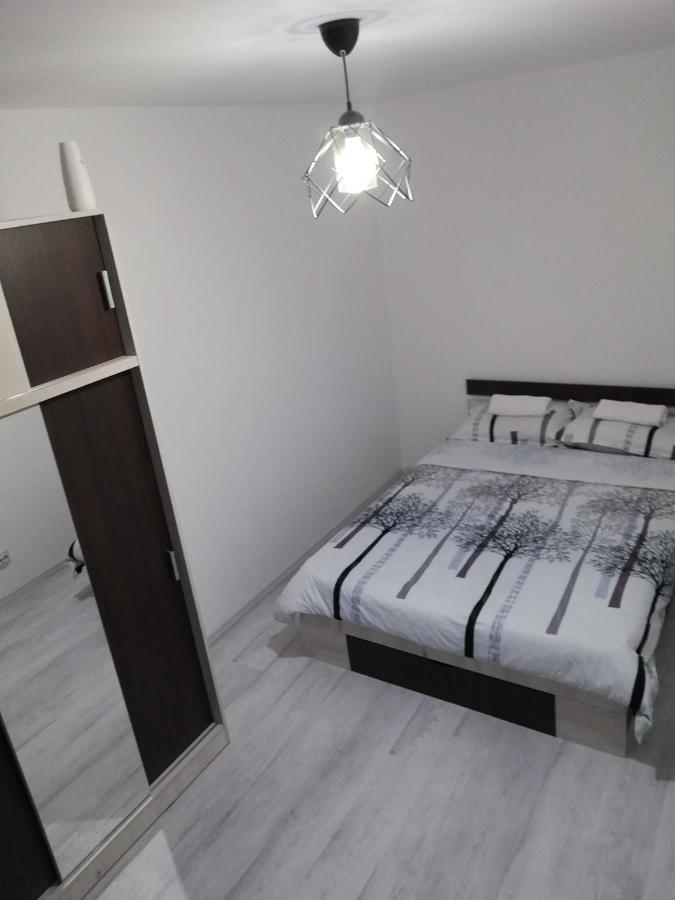 Apartamento Apartament Brezoi Exterior foto